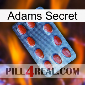 Adams Secret 06